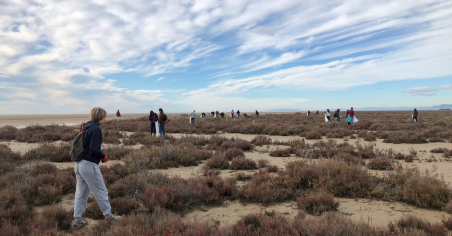 Continuen les accions voluntries per netejar les platges | EbreActiu.cat, revista digital d’oci actiu | Terres de l’Ebre ...